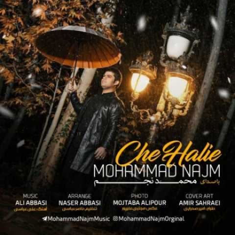 Mohammad Najm Che Haliye